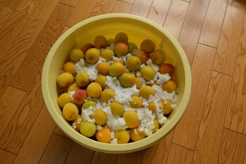 イメージ 2
