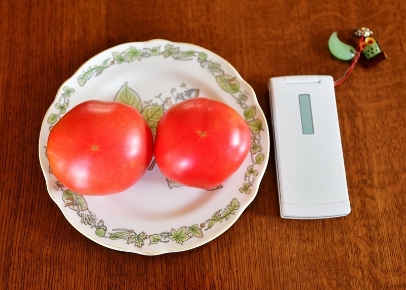 イメージ 2