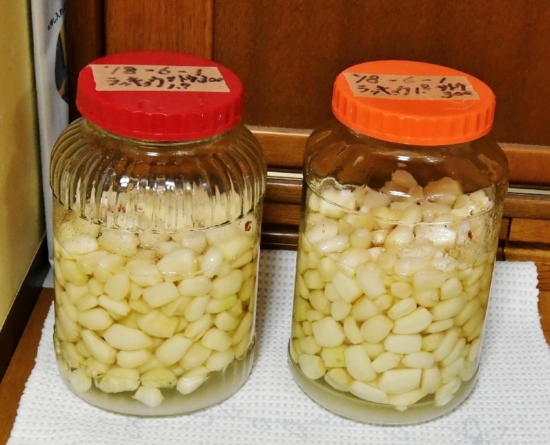 イメージ 8