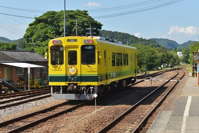 イメージ 7