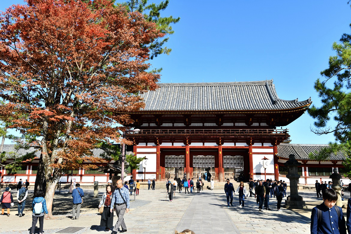 f:id:ikegon4547:20191110230549j:plain