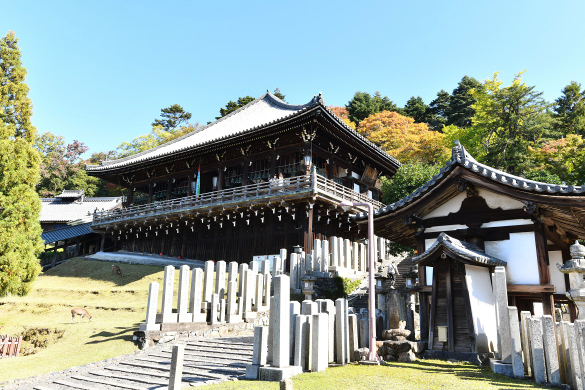 f:id:ikegon4547:20191110230750j:plain