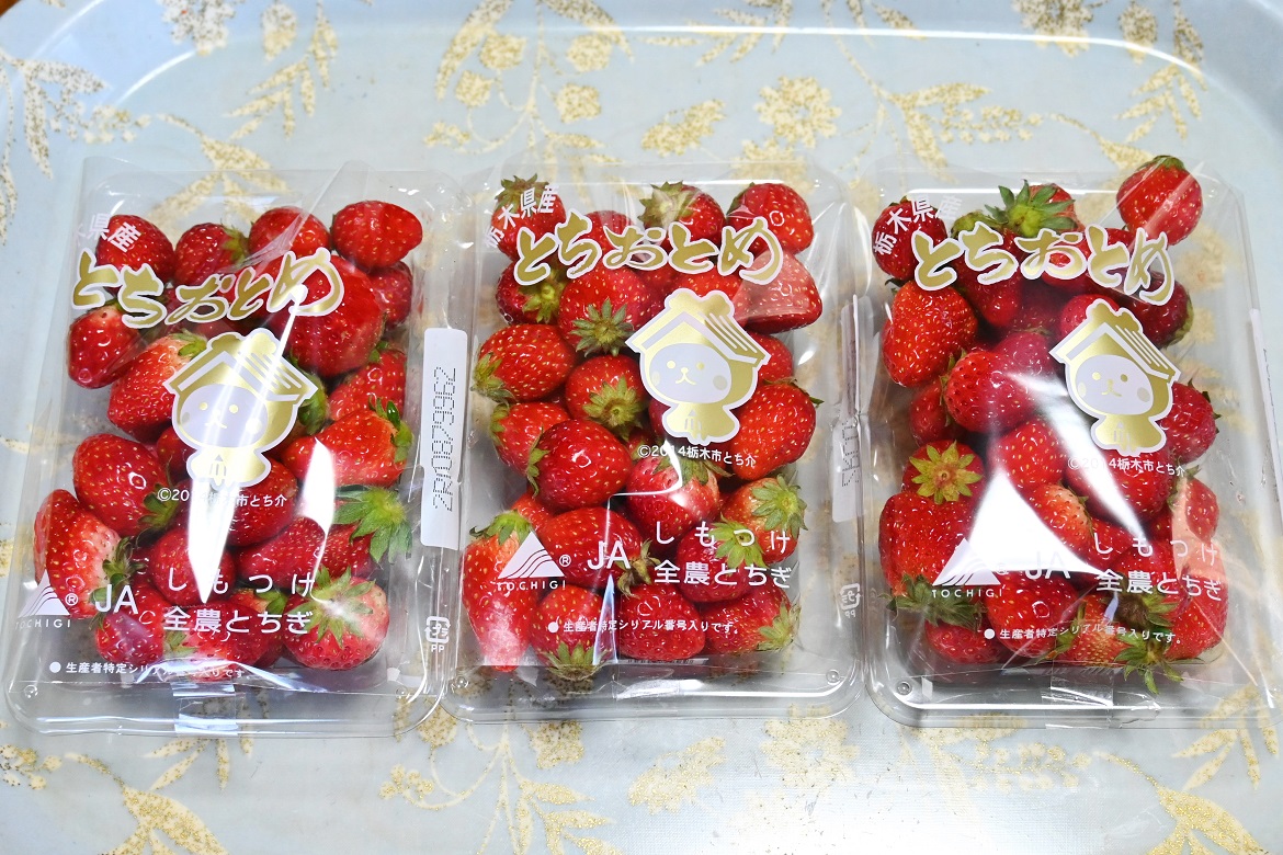 f:id:ikegon4547:20200319224910j:plain
