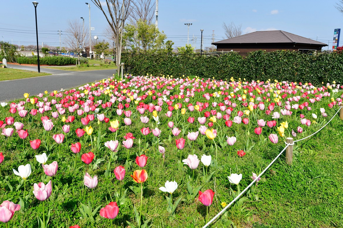 f:id:ikegon4547:20200410180100j:plain