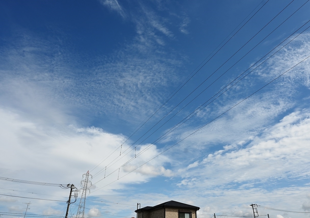 f:id:ikegon4547:20201018205712j:plain f:id:ikegon4547:20201018205712j:plain