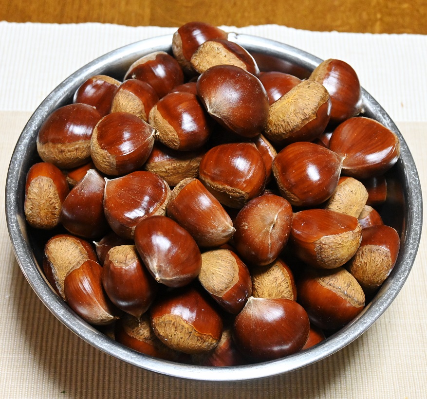 f:id:ikegon4547:20201018205842j:plain f:id:ikegon4547:20201018205842j:plain