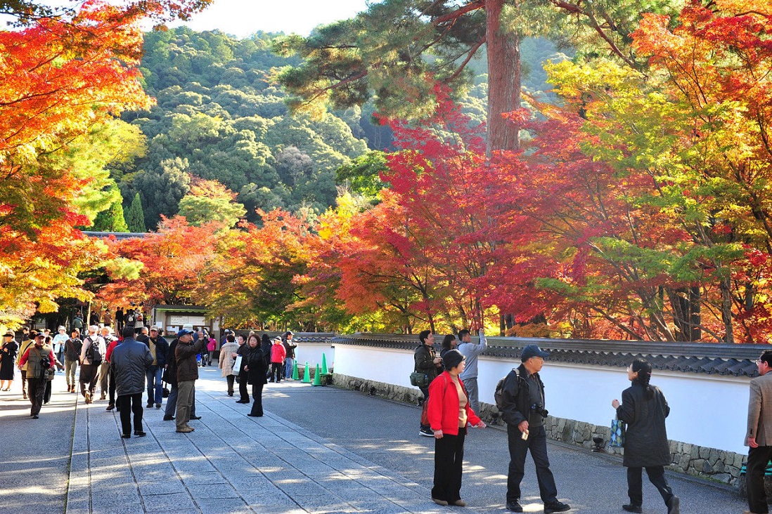 f:id:ikegon4547:20211104220601j:plain