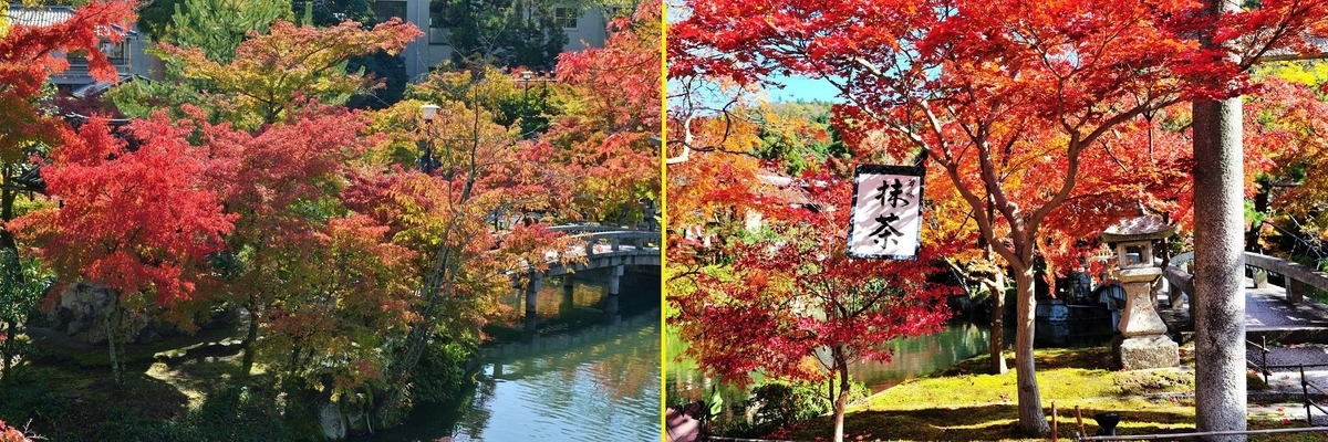 f:id:ikegon4547:20211104220629j:plain