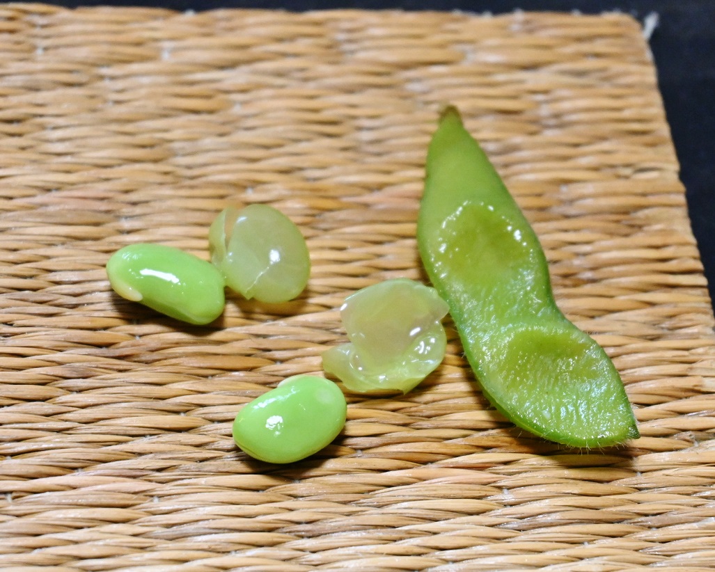 禁酒日を守らなくては。 - ikegonの日記