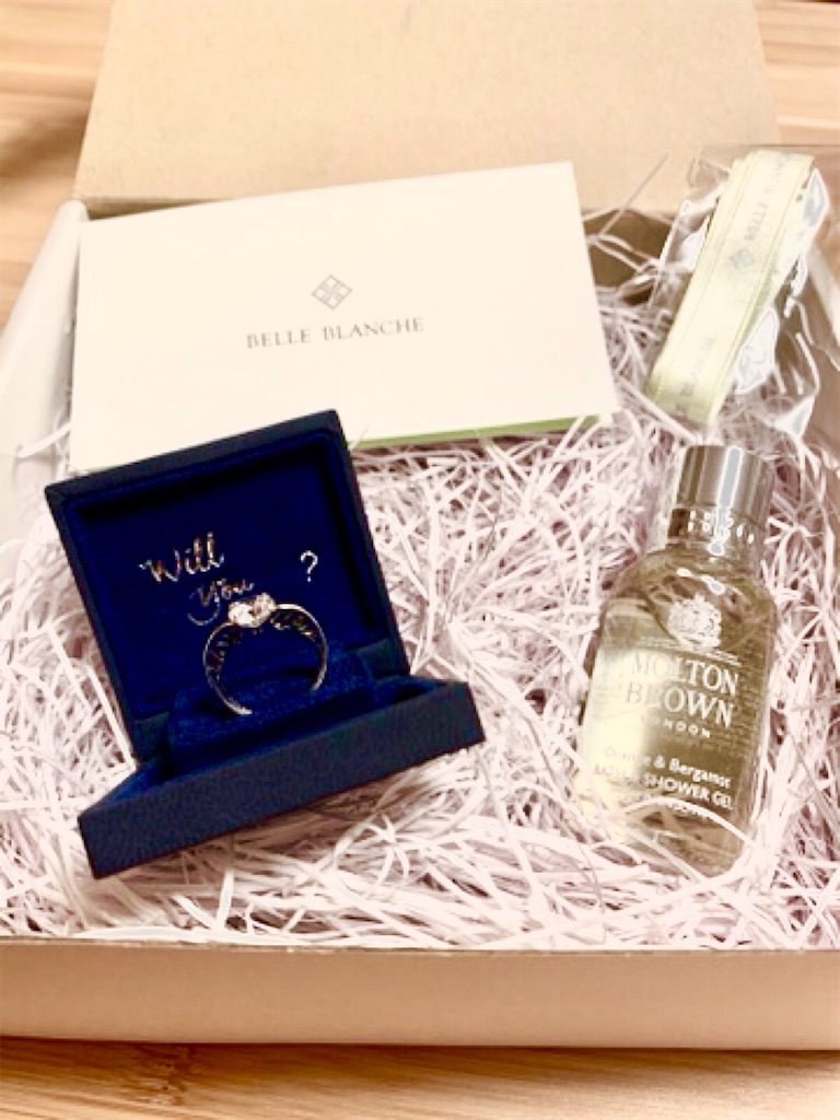 f:id:ikelog:20210306225906j:image f:id:ikelog:20210306225906j:image