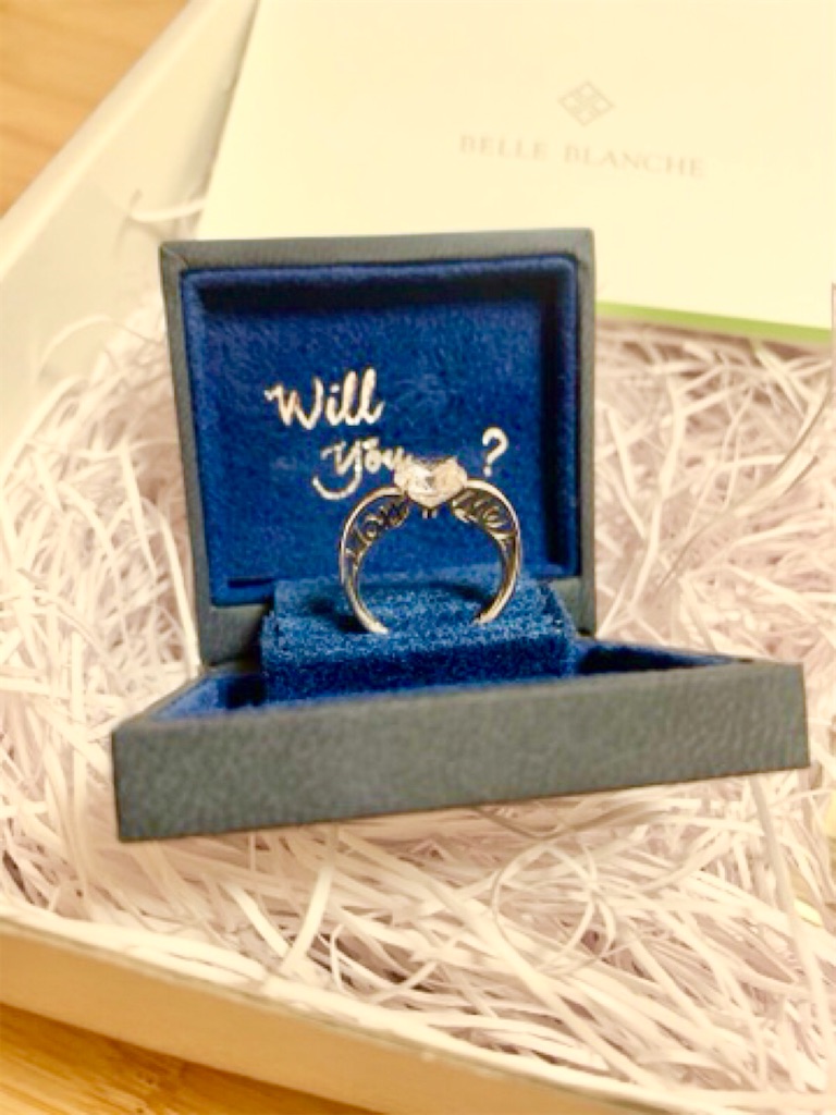 f:id:ikelog:20210306233358j:image f:id:ikelog:20210306233358j:image