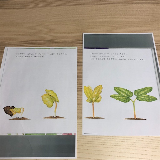 f:id:ikenagayoshie:20190529060010j:image