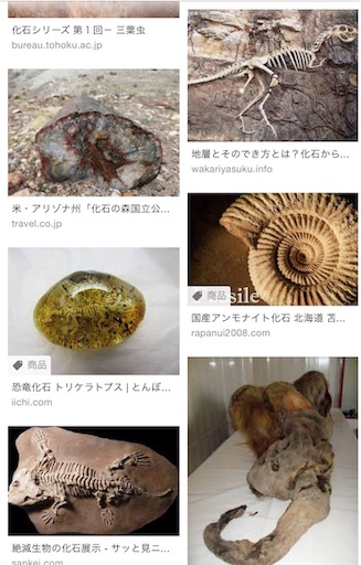 f:id:ikenagayoshie:20190619133230j:image f:id:ikenagayoshie:20190619133230j:image
