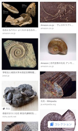 f:id:ikenagayoshie:20190619133232j:image f:id:ikenagayoshie:20190619133232j:image