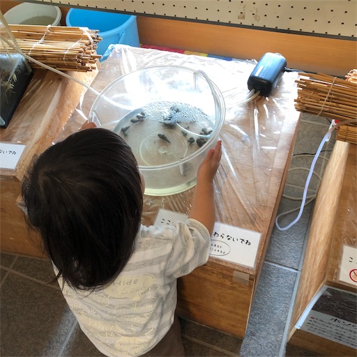 f:id:ikenagayoshie:20190727043030j:image f:id:ikenagayoshie:20190727043030j:image