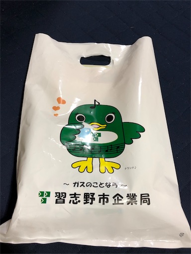 f:id:ikenagayoshie:20190810043226j:image