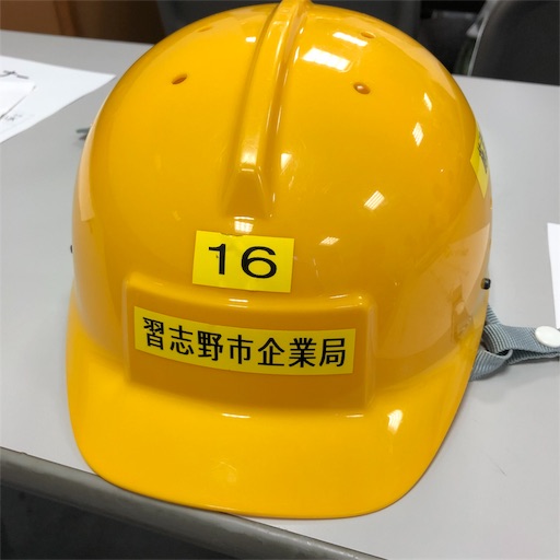 f:id:ikenagayoshie:20190810063641j:image