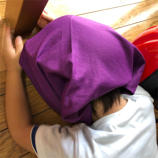 f:id:ikenagayoshie:20190910131315j:image f:id:ikenagayoshie:20190910131315j:image