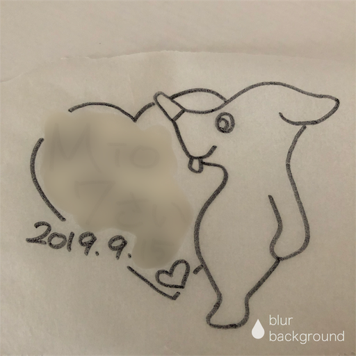 f:id:ikenagayoshie:20190917083519p:image