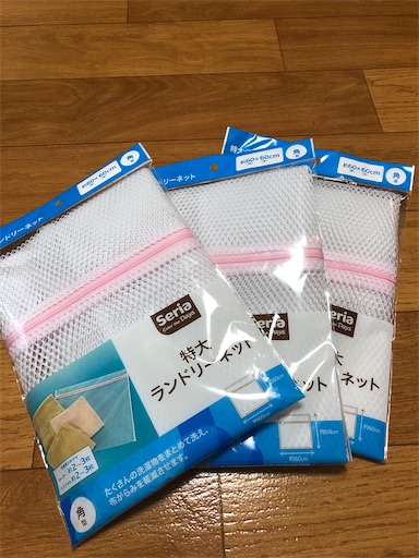 f:id:ikenagayoshie:20200301065256j:image