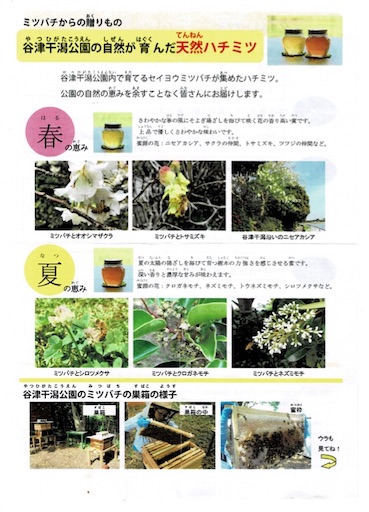 f:id:ikenagayoshie:20200301152139j:image f:id:ikenagayoshie:20200301152139j:image