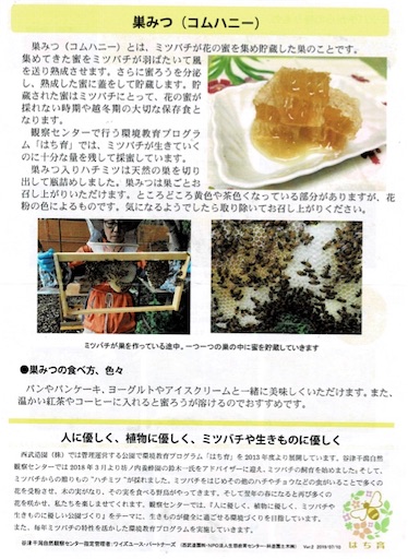 f:id:ikenagayoshie:20200301152159j:image f:id:ikenagayoshie:20200301152159j:image