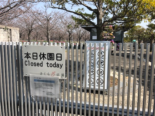 f:id:ikenagayoshie:20200323053706j:image