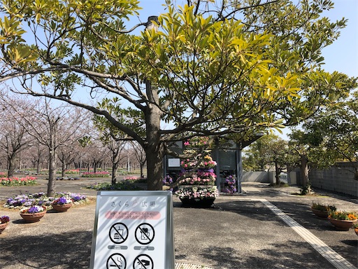 f:id:ikenagayoshie:20200323053708j:image