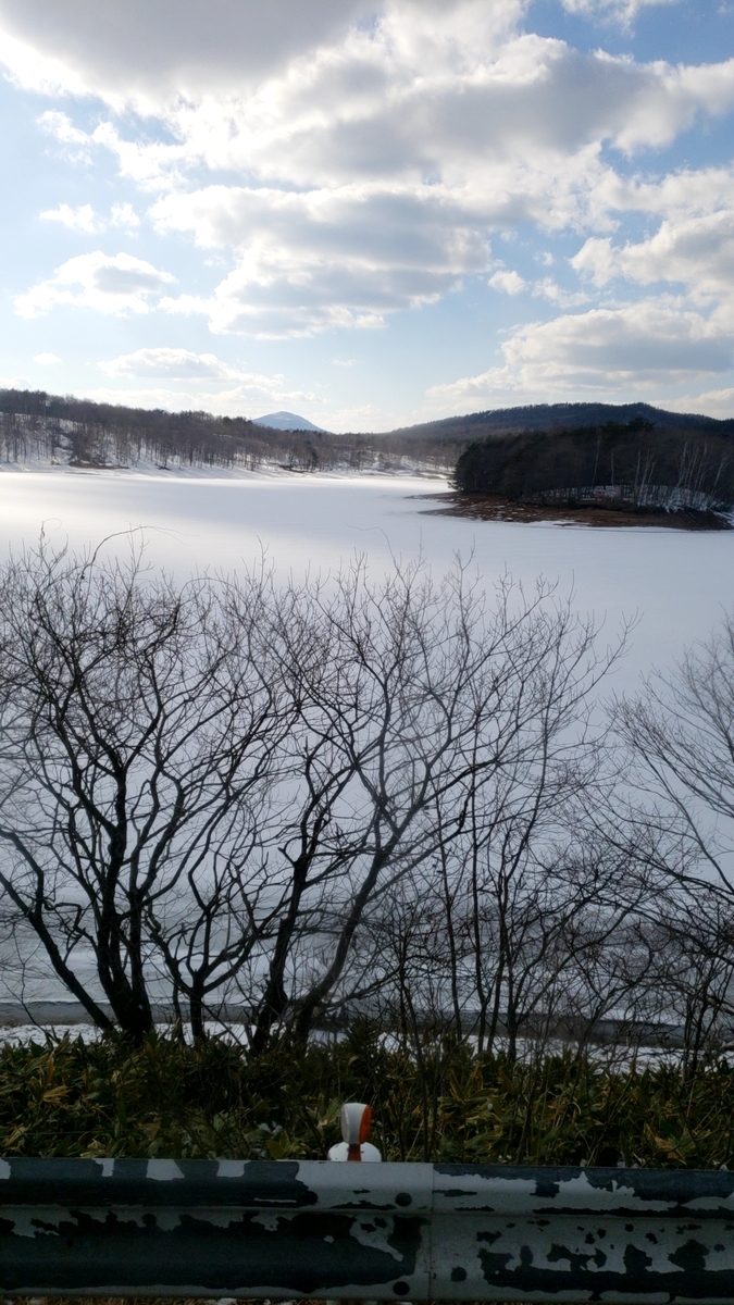 f:id:ikenohotorino:20190401224853j:plain f:id:ikenohotorino:20190401224853j:plain