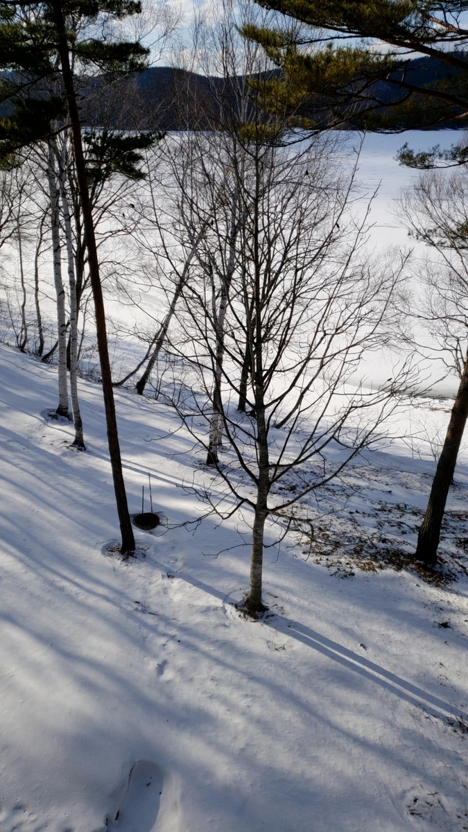 f:id:ikenohotorino:20190401224905j:plain f:id:ikenohotorino:20190401224905j:plain