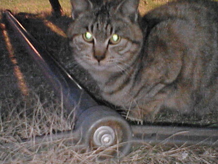f:id:iker:20061205172511j:image f:id:iker:20061205172511j:image