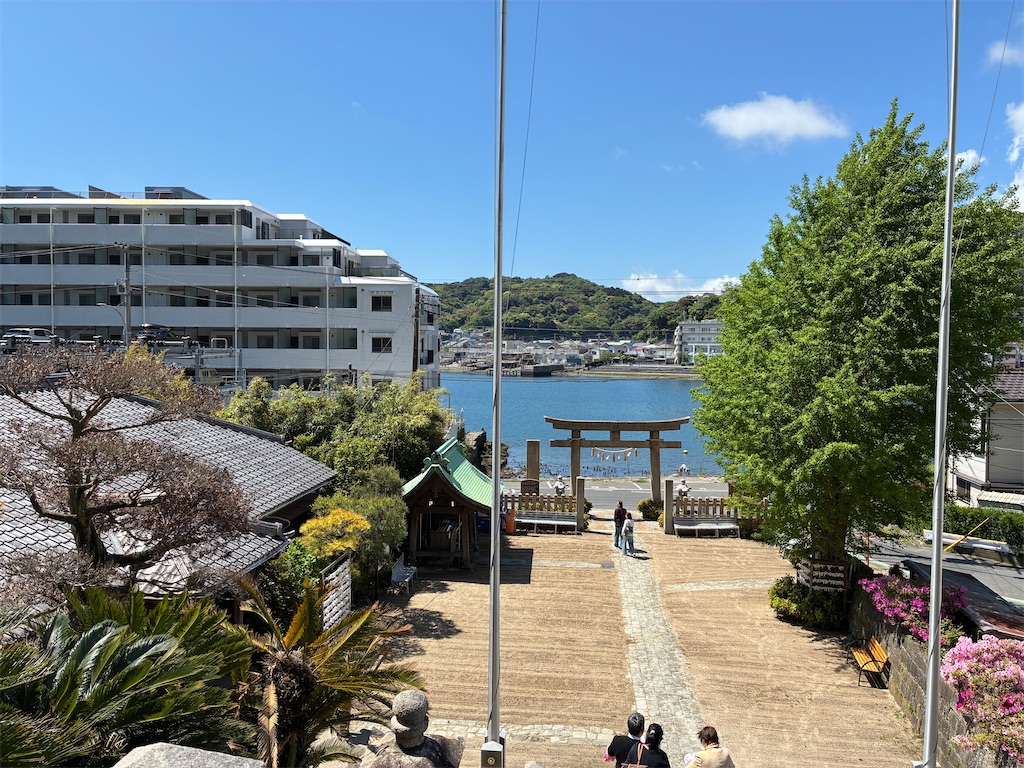 f:id:iketani-atuage:20250506221152j:image