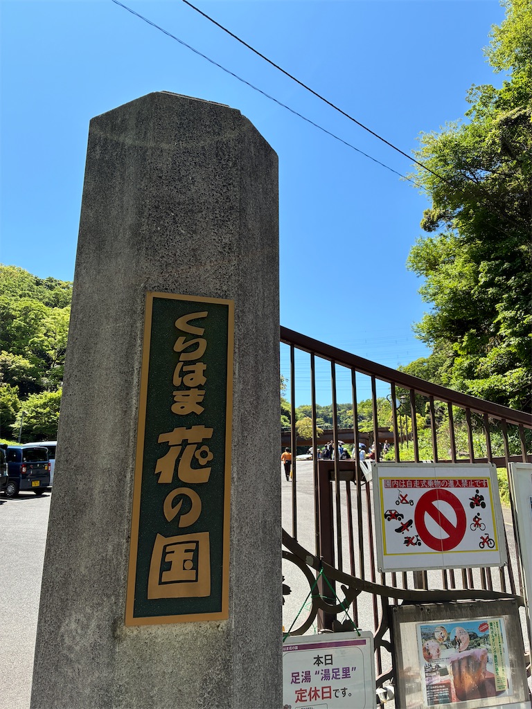 f:id:iketani-atuage:20250506221202j:image