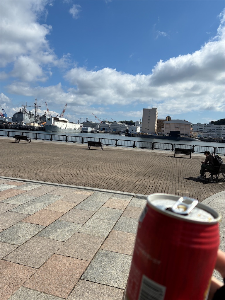 f:id:iketani-atuage:20250506221221j:image