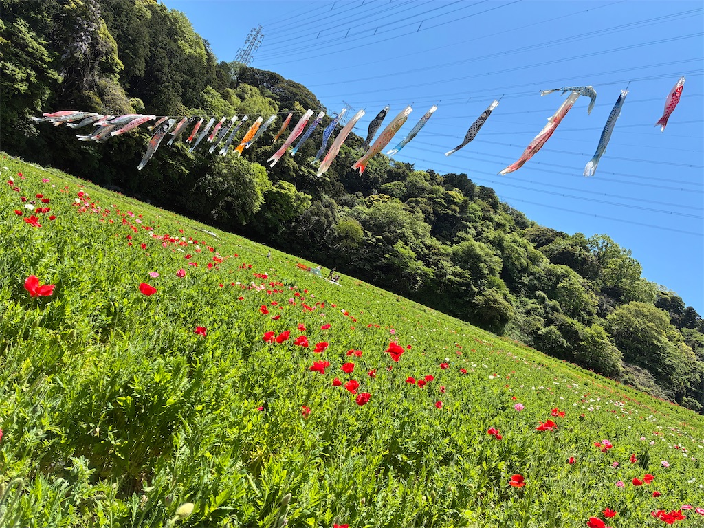 f:id:iketani-atuage:20250506221251j:image