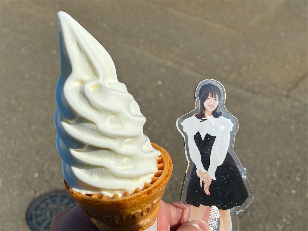 f:id:iketani-atuage:20250507231158j:image