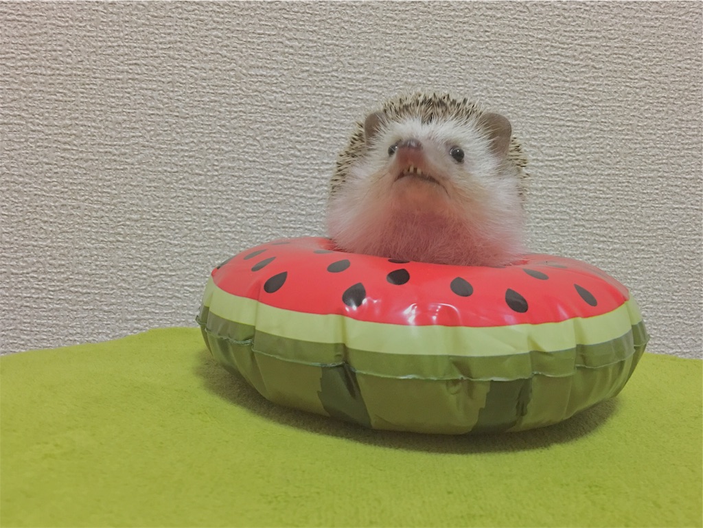 f:id:iketaro76:20170718190529j:image f:id:iketaro76:20170718190529j:image