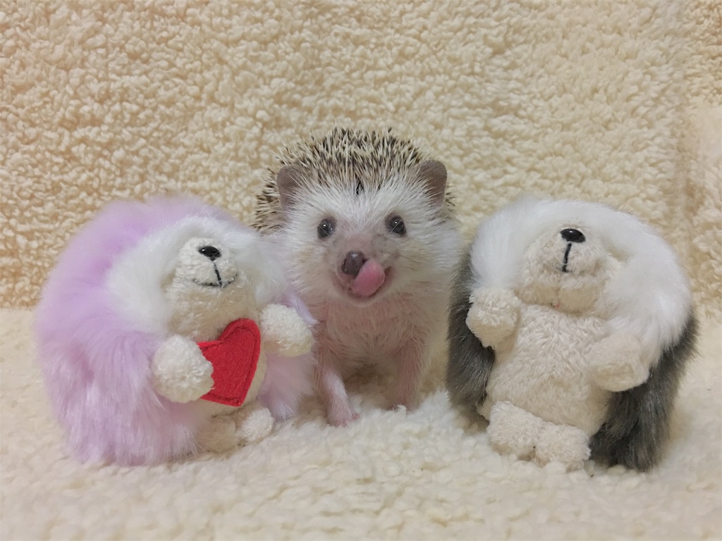 f:id:iketaro76:20180224195202j:image