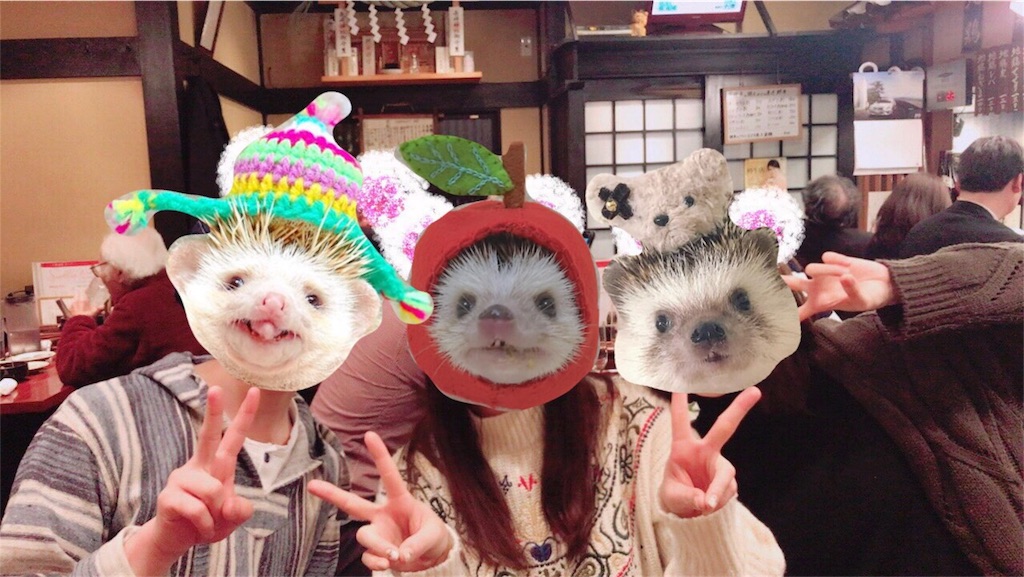 f:id:iketaro76:20180305202815j:image