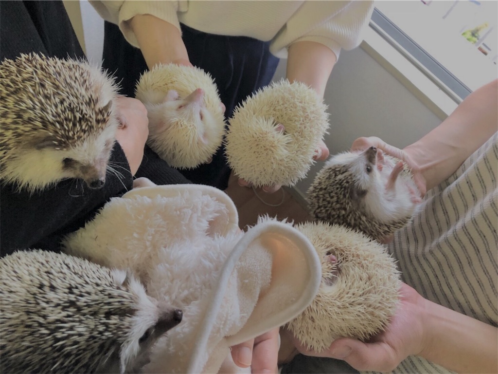 f:id:iketaro76:20180305203223j:image