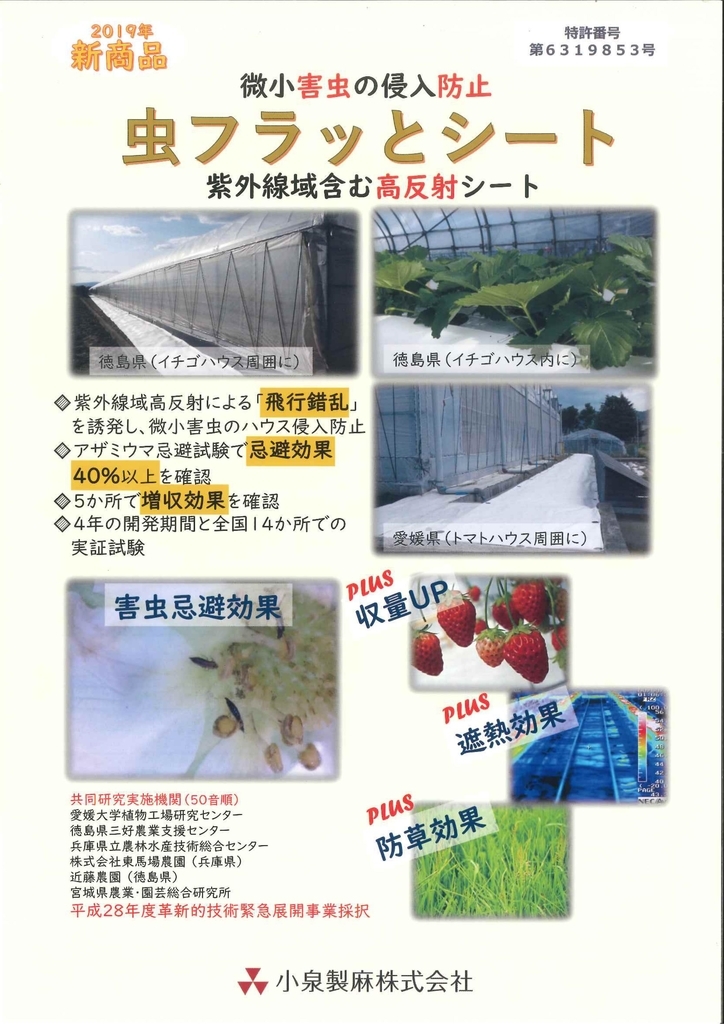 f:id:ikexk:20190214152113j:plain