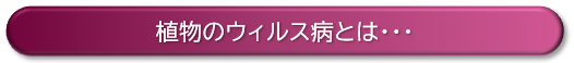 f:id:ikexk:20200120152442p:plain f:id:ikexk:20200120152442p:plain