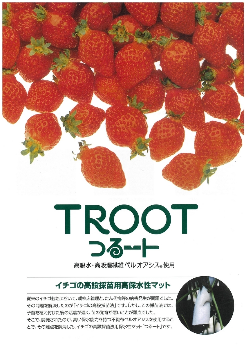 いちご狩りで大量に余ったイチゴをみなさまへお届けします