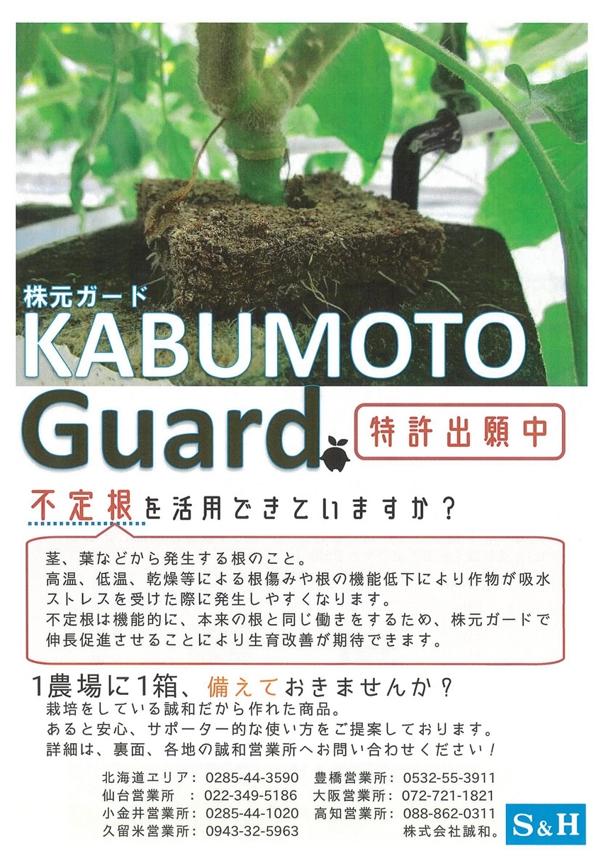 不定根の伸長促進!「株元ガード」 - イケックス「養液栽培肥料・資材とハウス機器の販売」