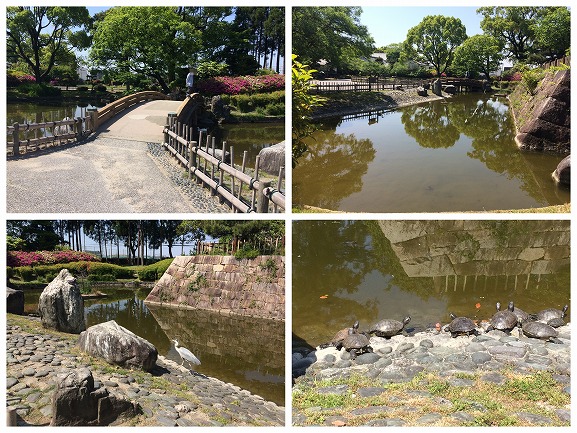 f:id:ikimasyoka:20180615214342j:plain