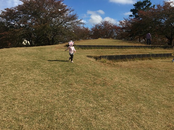 f:id:ikimasyoka:20181104213558j:plain