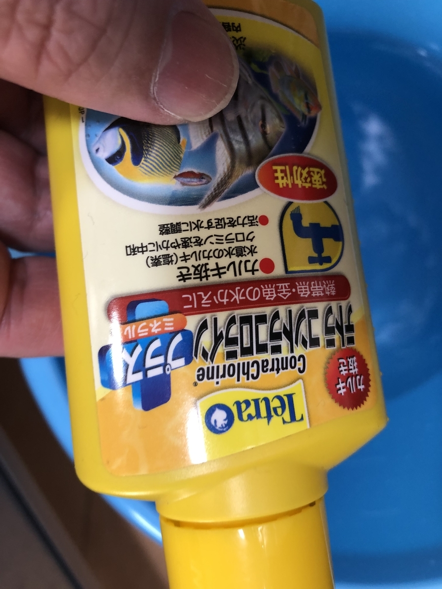 f:id:ikimonobunka:20190326170755j:plain