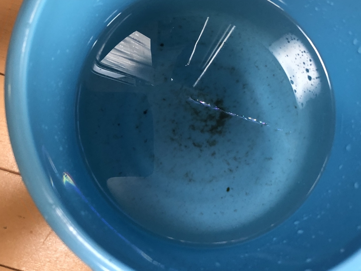 保育 教育の現場での生き物飼育方法講座