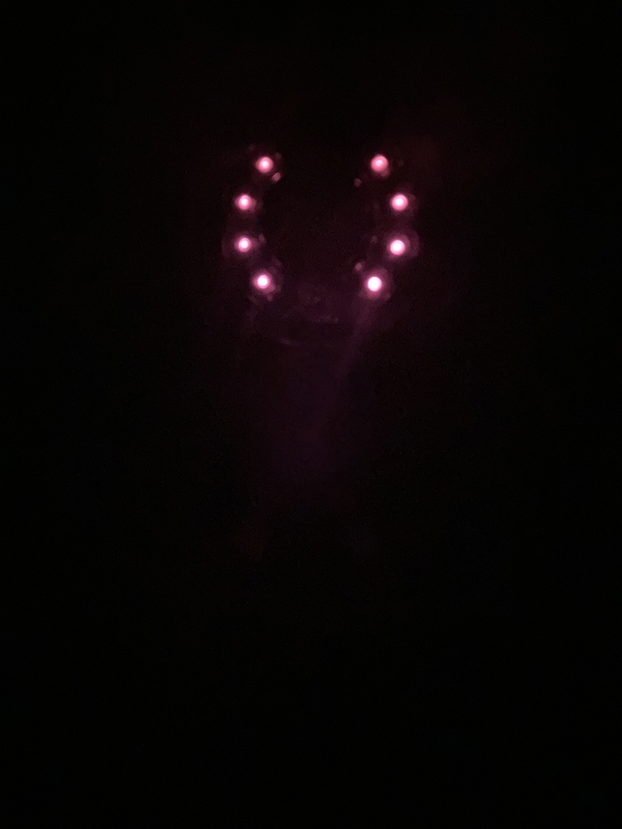 f:id:ikinashimenkoi:20210319000025j:plain