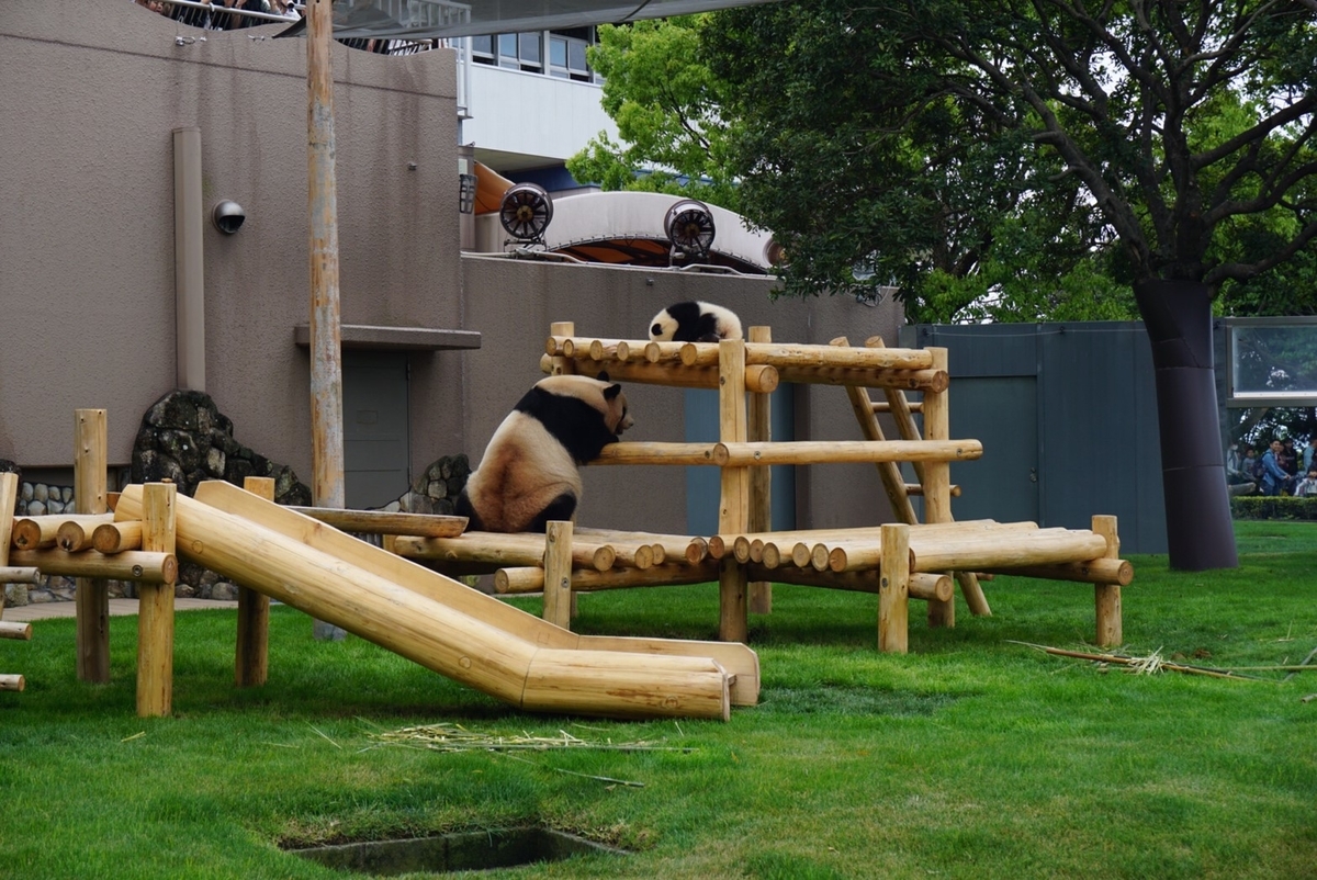 f:id:ikinoco:20190505191720j:plain f:id:ikinoco:20190505191720j:plain